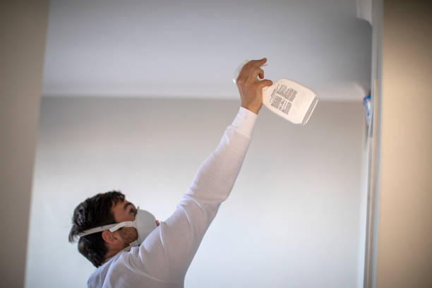 Best Local Mold Removal Service  in Fayette, AL