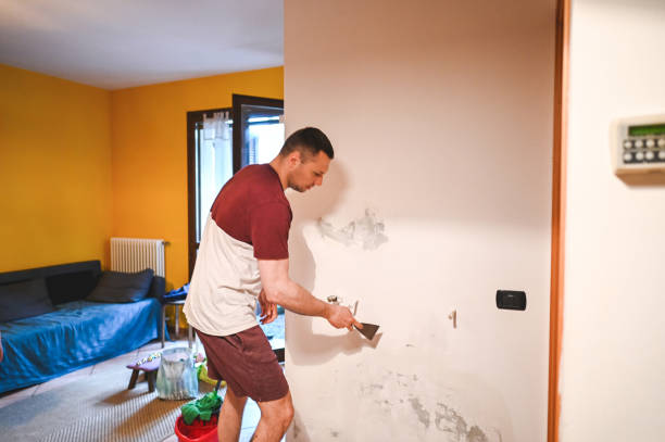 Best Office Mold Removal Services  in Fayette, AL
